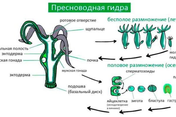 Кракен пользователь не найден что делать